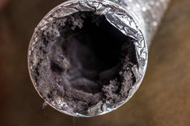 Best HVAC Duct Inspection Services  in Duryea, PA
