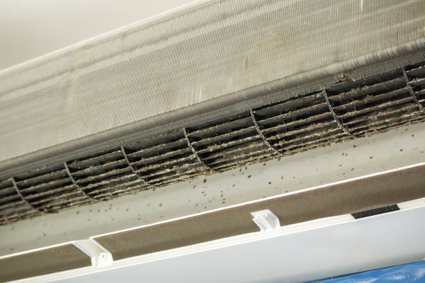 Best Affordable Duct Cleaning Services  in Duryea, PA